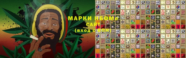 ПСИЛОЦИБИНОВЫЕ ГРИБЫ Рославль