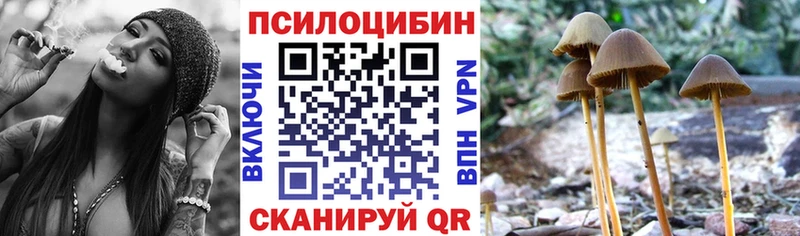 Псилоцибиновые грибы MAGIC MUSHROOMS  Нестеровская 